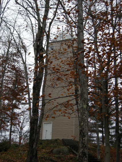 Ward Observatory This is a view of the observatory from the patio in the rear of the house. Fred & Ruth are very in touch with their environment, so rather than cut down trees, they chose to place the observatory at one of the highest points on their property, and elevate the observing platform above the treetops.